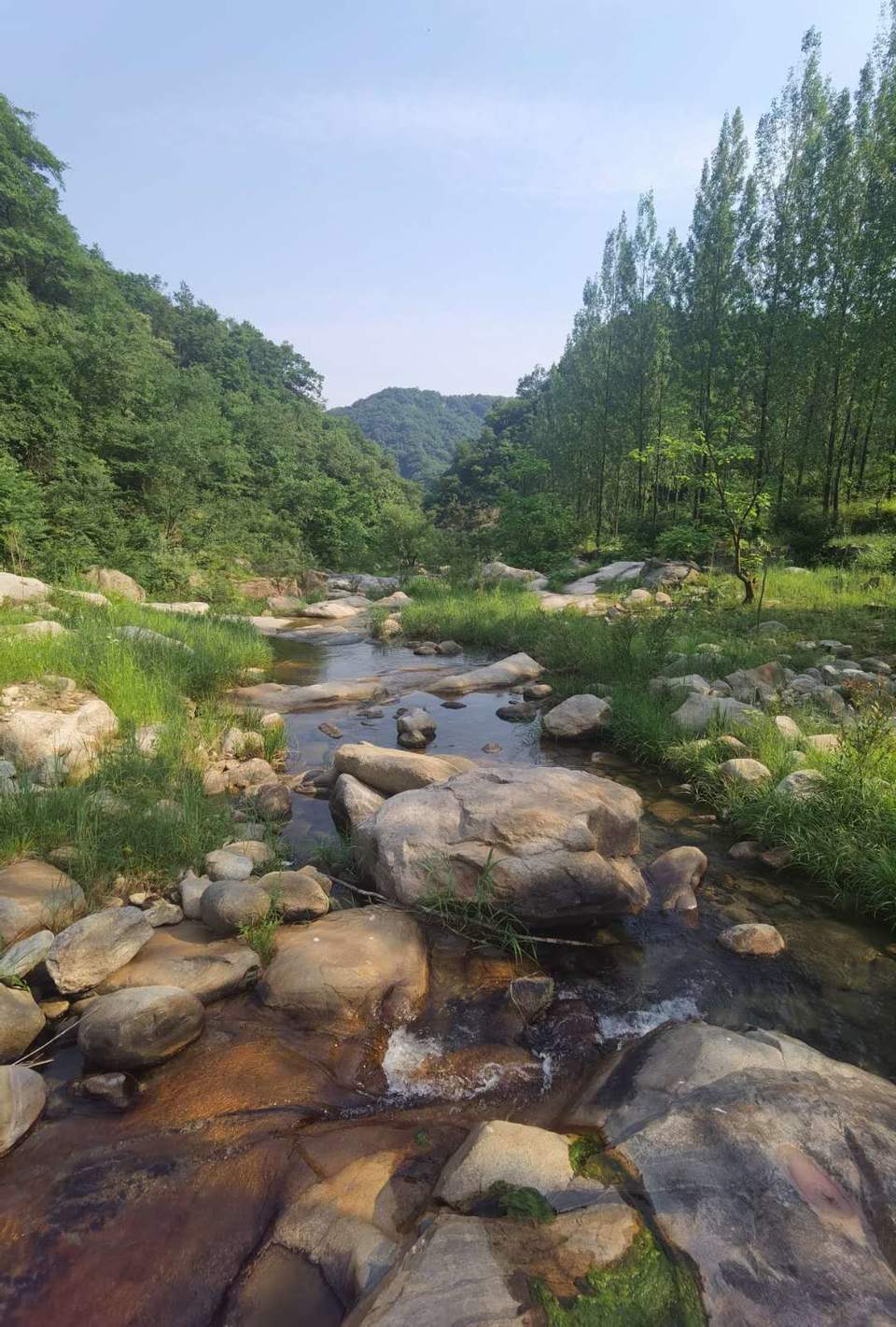 WcPih4jSNyben-DflcgcrTq_hJGzFB2SBvNZficTJo6uzVNZ2BTyuTTisWcz3SEe