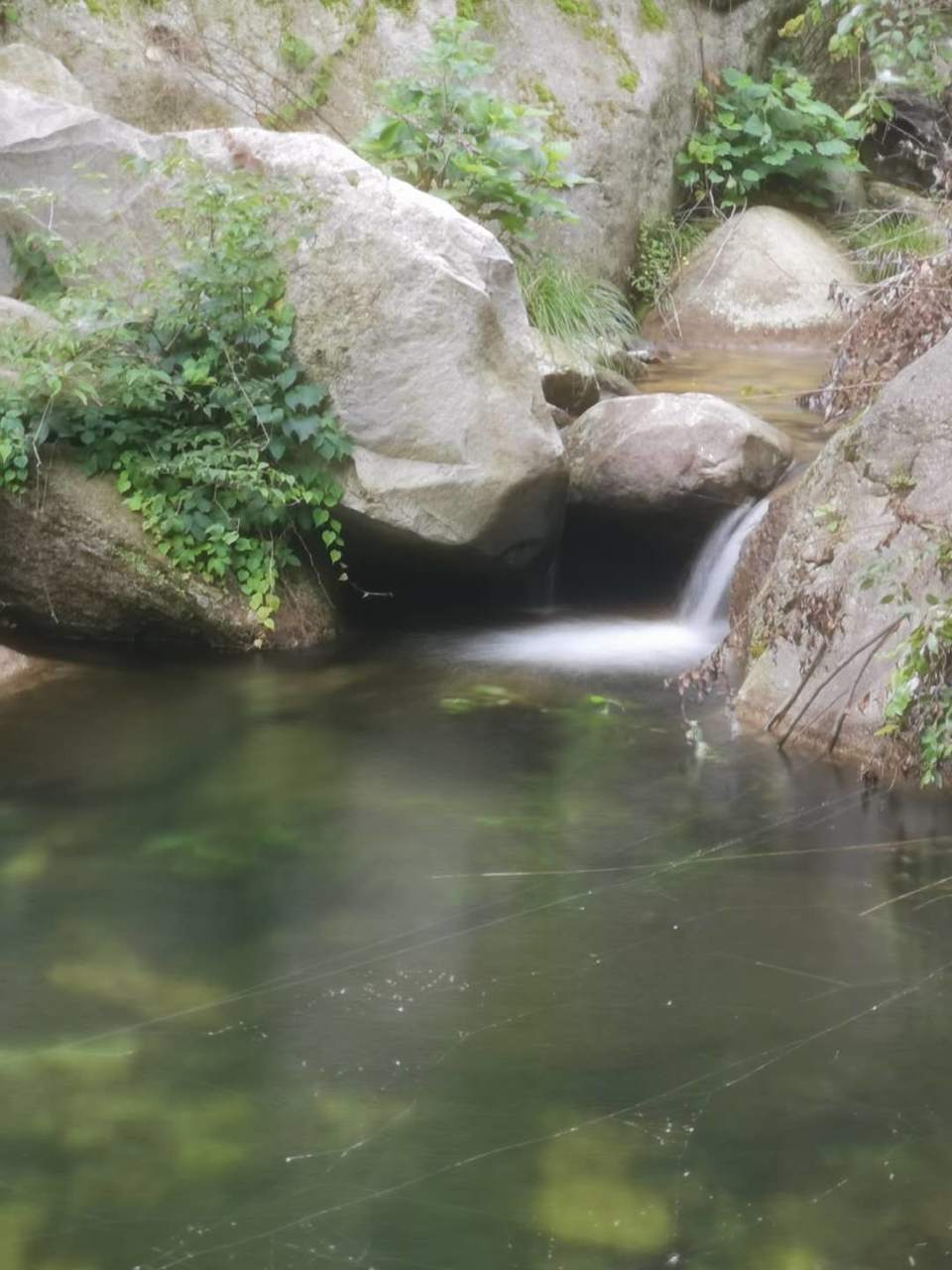 WcPih4jSNyben-DflcgcrWdA4RHveu-C5a9sseI43L4KfsqoPlFajNS7ef5a33xP