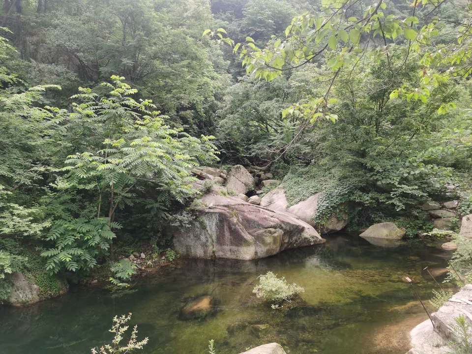 WcPih4jSNyben-DflcgcrbPYbowytg9okmZWlUEJN0wLScWDL0A4zHkFccZcki_k