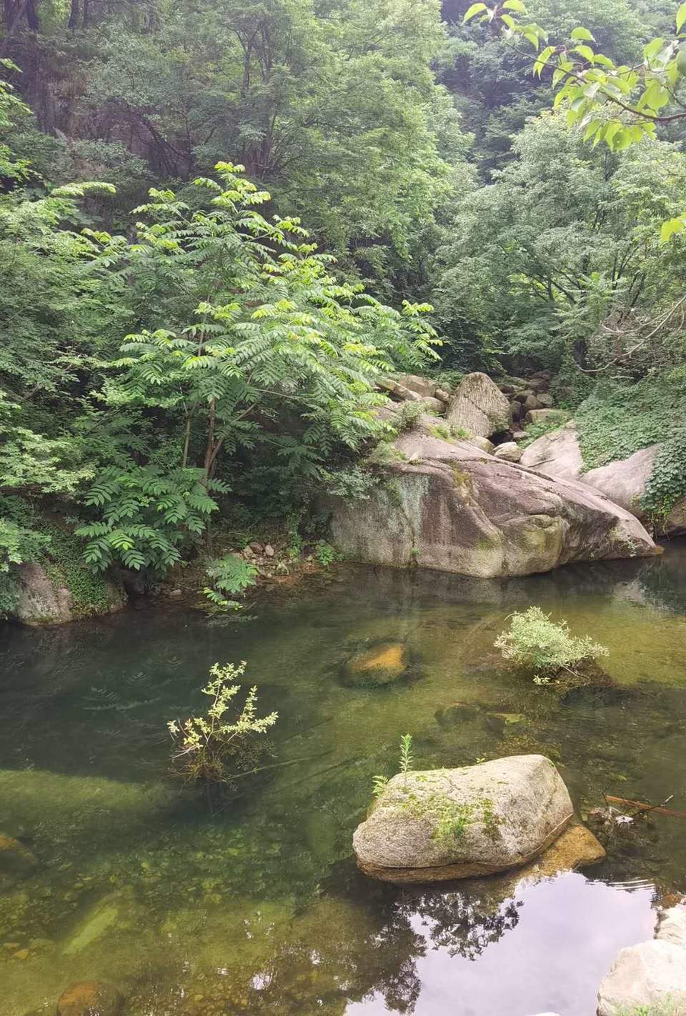 lb41A--jhzrtrZqgNakdtD6ozD3EkCig8oBi5_wz3RkdOAzA55qBXq_xzvWxZI_x