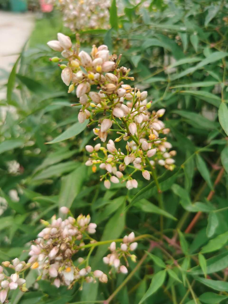 brCiVmZsiS3PqWRYRc_S1e1E84gnf-Dczz39nm1HsulCVUj2wvjbqQjEsbaPeUgK