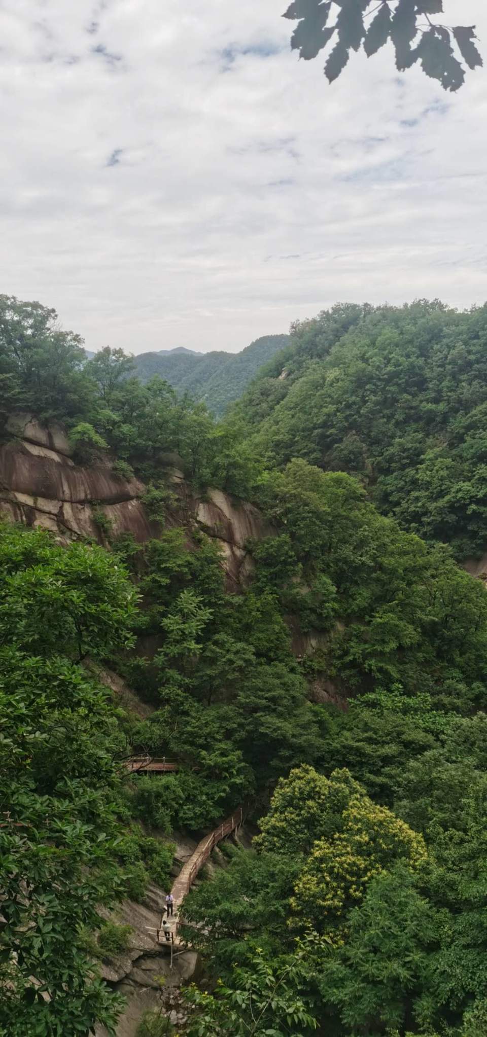 brCiVmZsiS3PqWRYRc_S1fvjW8Dd1oAus8hxktbcCw1022sxjjmK9mKrRuUuNftn