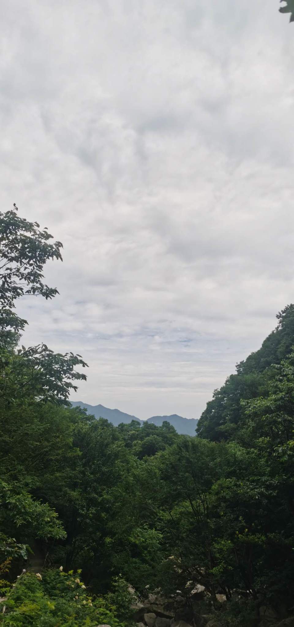 Owcn_dKyAfHZlvARx0TLMoxP8kAgHJSt4KDFGXOiLR4YIjG0WU64CRT4J4Hvwl4E