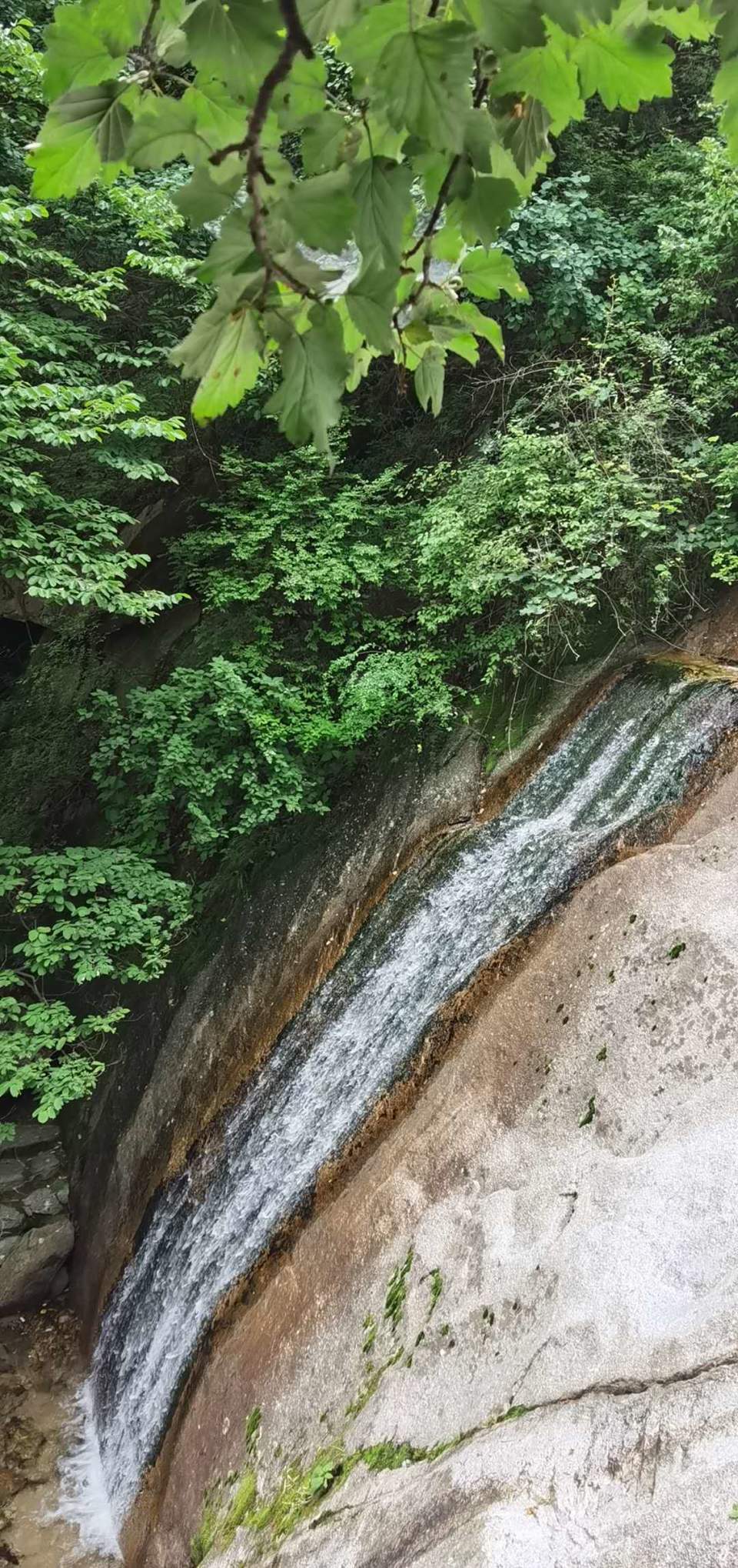 Owcn_dKyAfHZlvARx0TLMvMsr0IBE1GaqKHld64jF0q3zf0mBE5_xsX6Qw_L0BuX