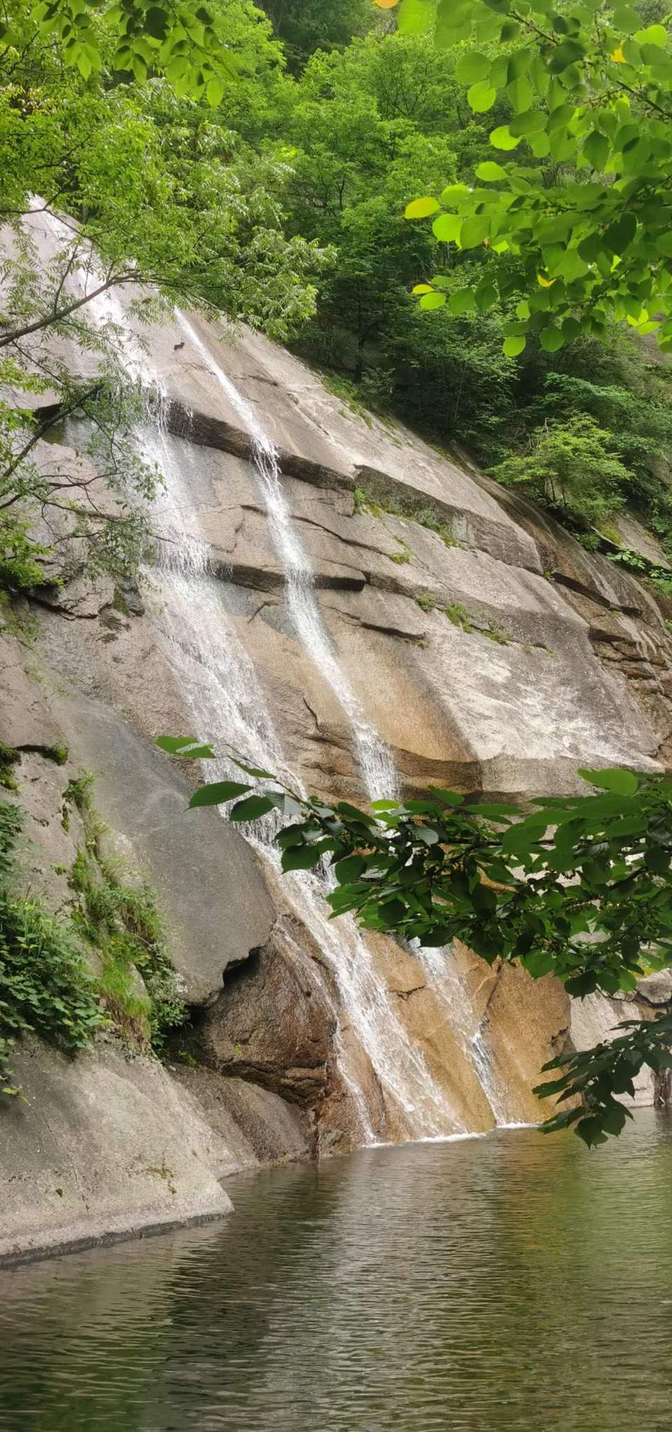 Owcn_dKyAfHZlvARx0TLMoLM_Vq57RVAK5XBdr1BRpmRDH0J5qNU84eu868uEwFr