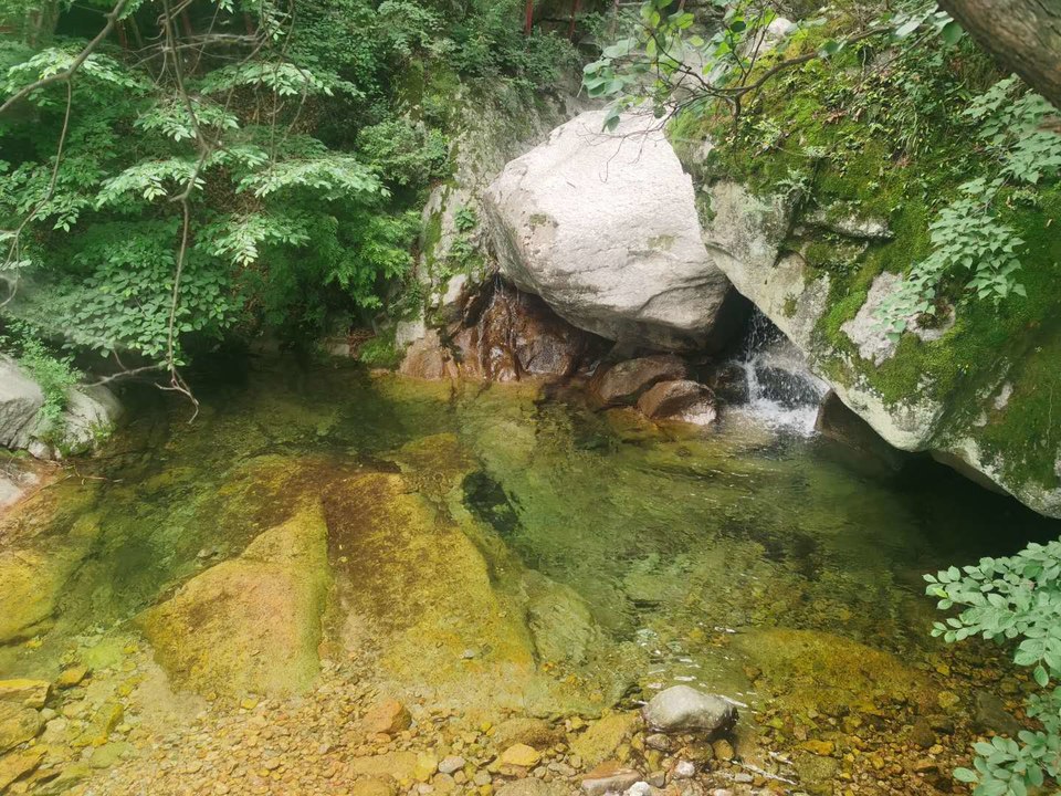 Owcn_dKyAfHZlvARx0TLMl7ks9ftweHEhz2VNWttsuoxe8jsGv1MSvHlnZK7kriR