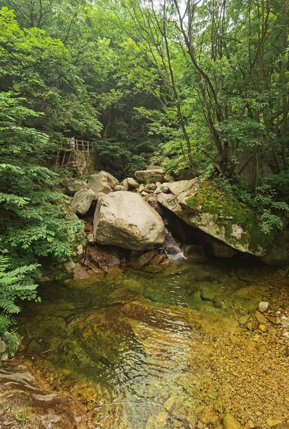 Owcn_dKyAfHZlvARx0TLMtMNe6JZHgGpB_Qk5wAe5D4UbIe3rUFeqYI7sLB2mt6o