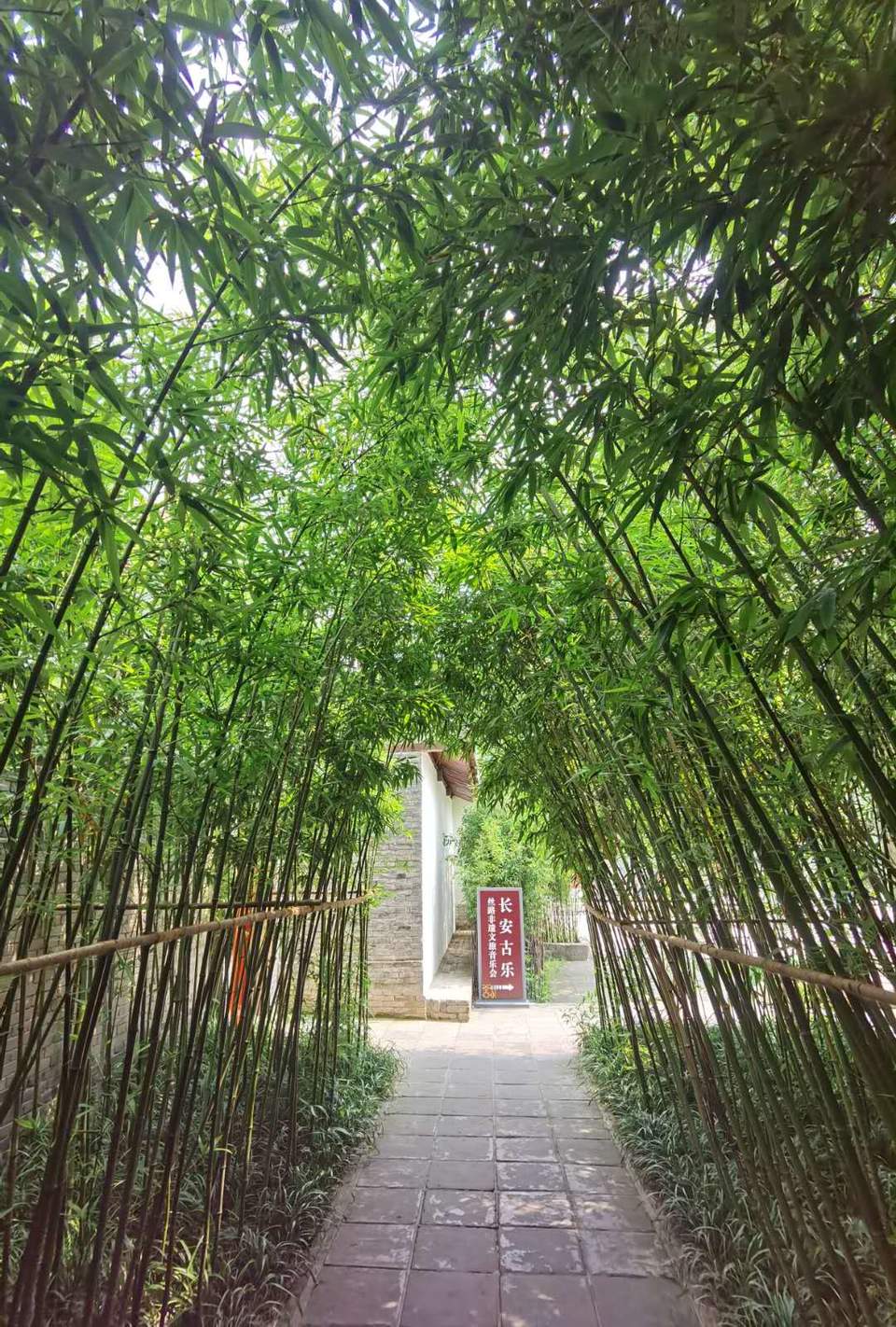 V8RG4nwmS51aNUO3QTaEtTnpUE9C-61-3brhWYBwpU8KcOYTDtlKB4mkx2kCydHR