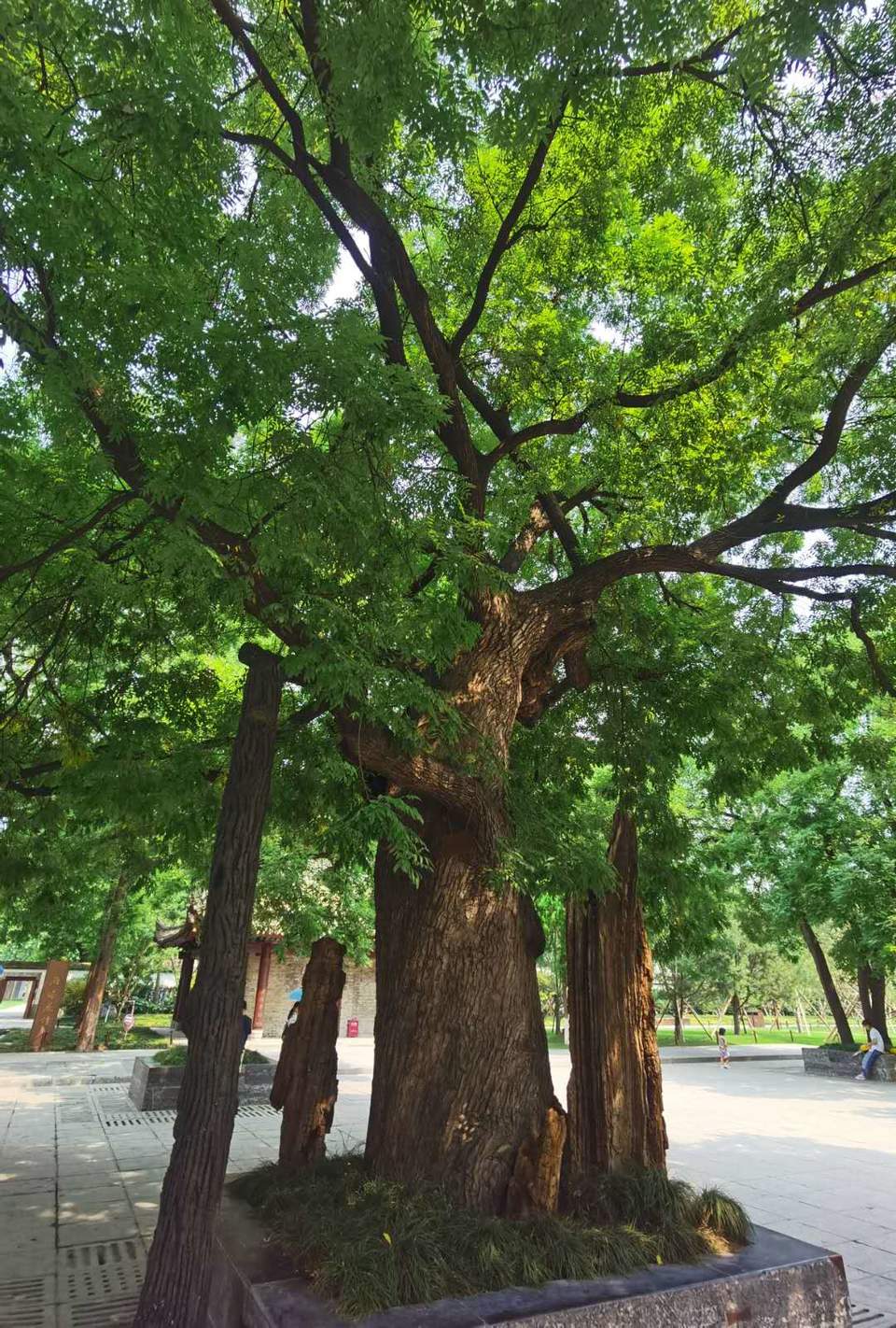 V8RG4nwmS51aNUO3QTaEtaXqPpg3UvovIc5XXpo6Mxrks1JNdL2Otq8sQGZzeMeg