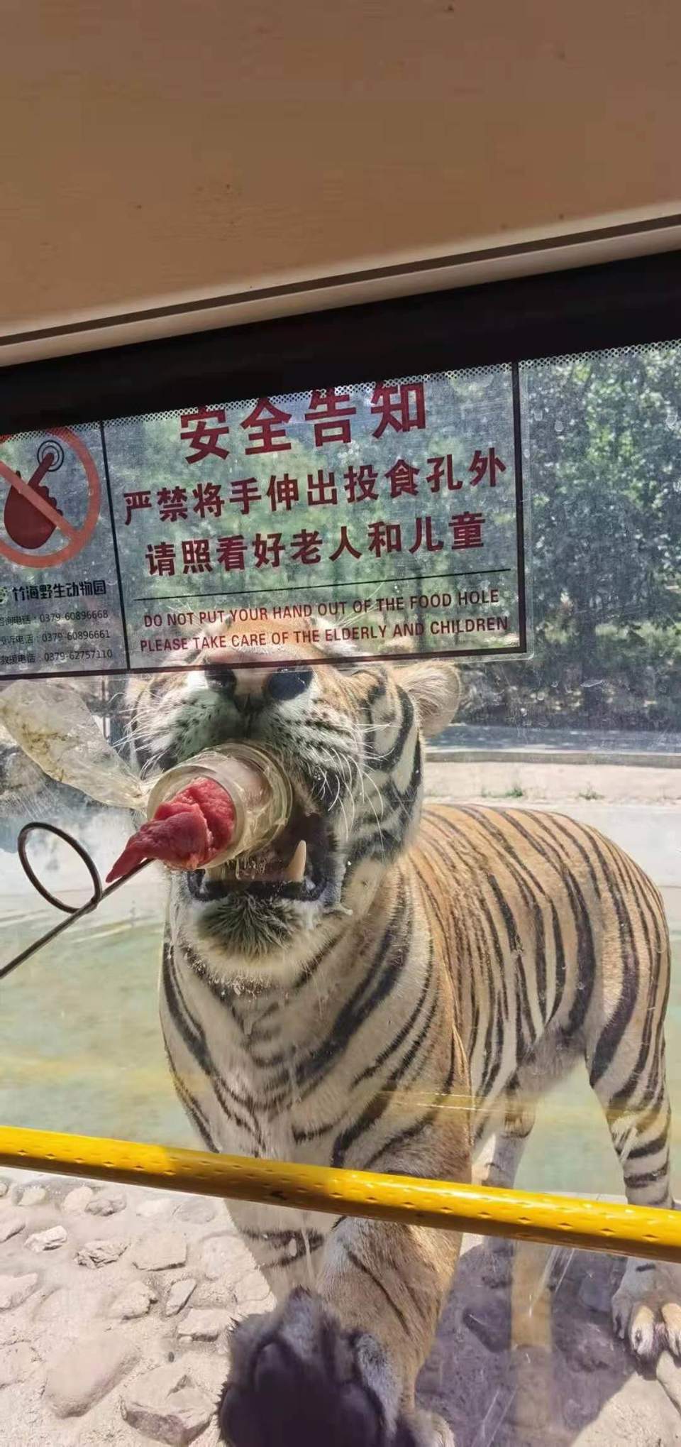 Utm-Rz7CvvI1h-Fe13Mitkfvmt4myXRMvyNwM9vTXpr25McXuihlj_SfI1RG8d8z