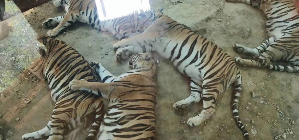 Utm-Rz7CvvI1h-Fe13MitvUmNQYnbm3TRP0TZy34I1X7QLXE8JC9tZQfiXgeY7k2