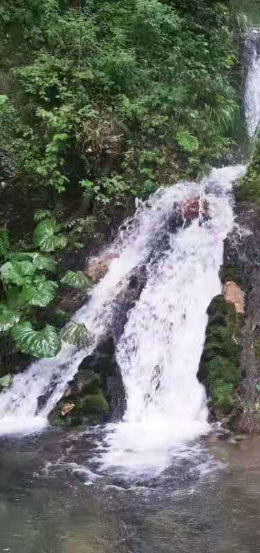 Utm-Rz7CvvI1h-Fe13MitkWOAEq_E65ZimWnjjd7KNlq4MAXZ_rMLsSdQDiOtI0E