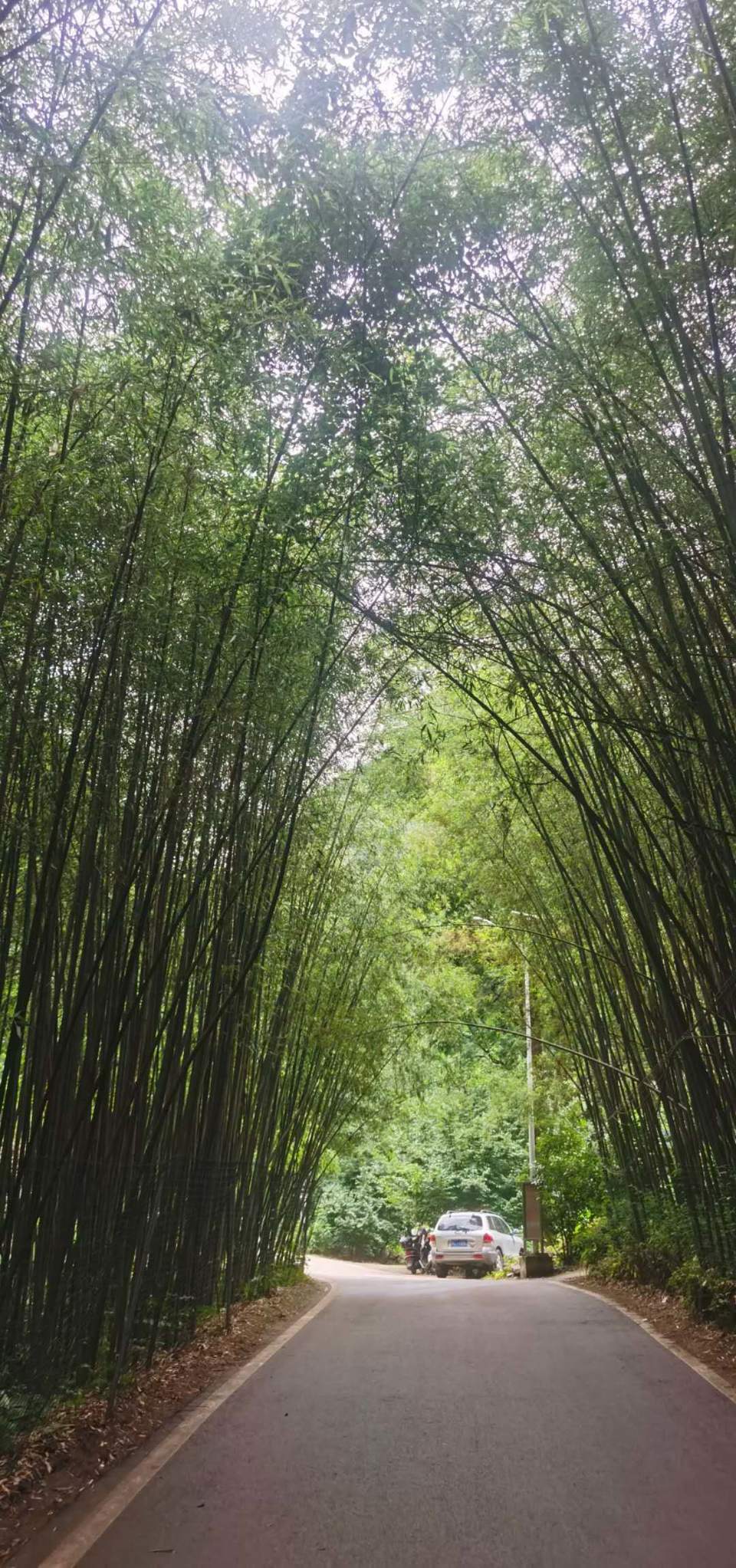 Utm-Rz7CvvI1h-Fe13MitrHDPytQIdtyF3s1osfwtz_496I8cna3CfWB3re8EOC7