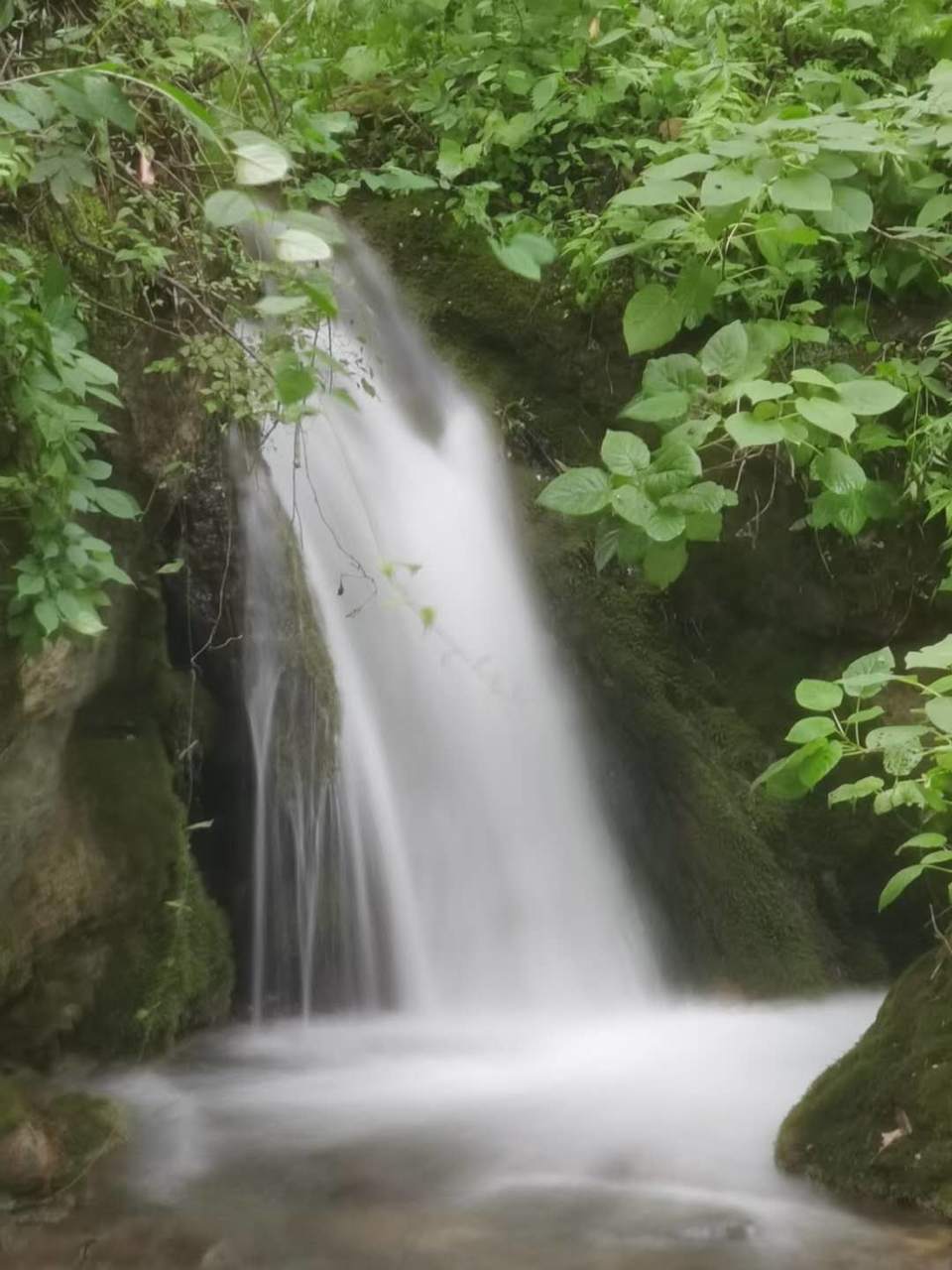 Utm-Rz7CvvI1h-Fe13Mitlff20_CrZ-NJjmnc2g3jfKkxL408hUznKjtD2rFyUGU