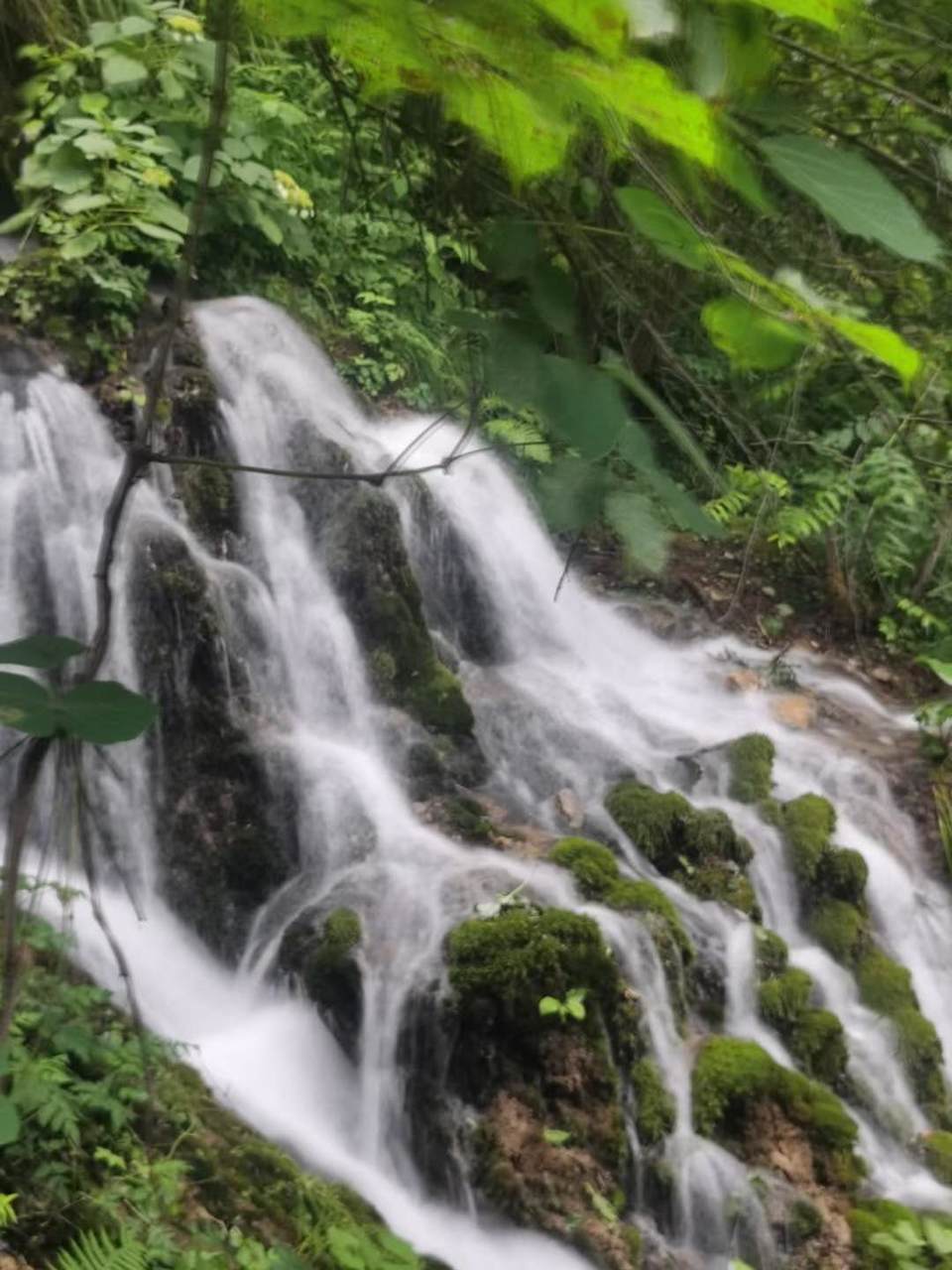 Utm-Rz7CvvI1h-Fe13MitrAeCRlx-9JqUoZ7_R2LIezUPsSpyvrF61n7skskcJJv