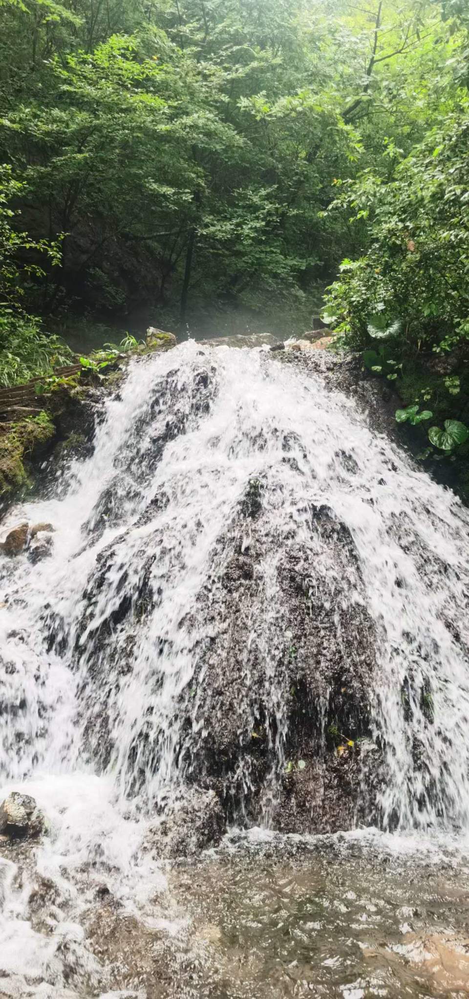 Utm-Rz7CvvI1h-Fe13MitjWtjWMmrvQSYFdpRS7ciGlug0DMvUF51MsdMHk1s3bx