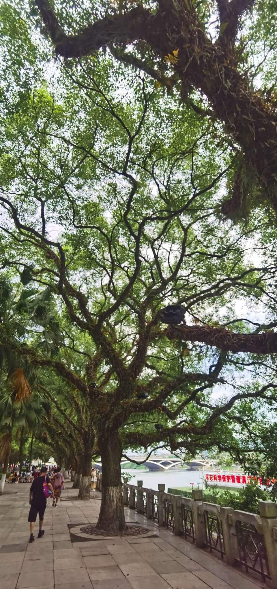 HXI9G12hOiyqOH-SQnvHhak4A7Gs8Iv2ibmQQ9-Mh1NZy5qH76TrmSD5GnRDtEiO