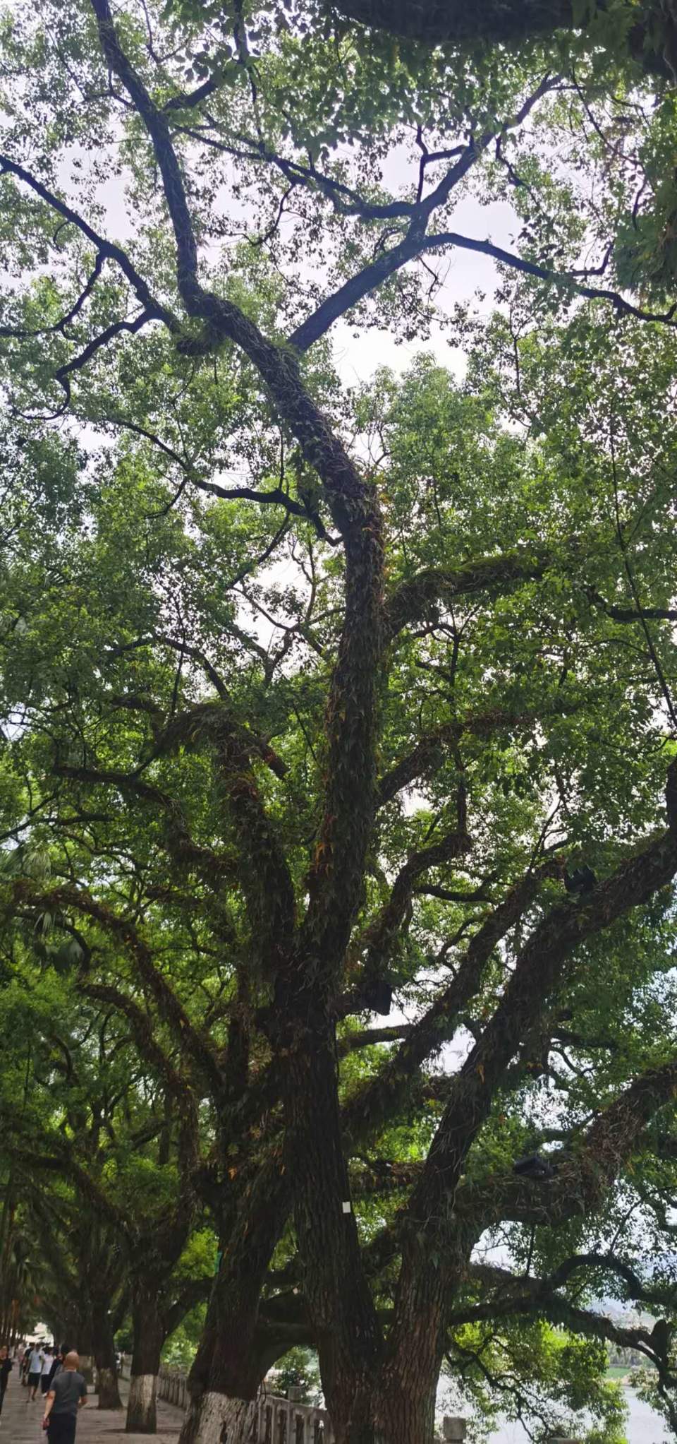 HXI9G12hOiyqOH-SQnvHhT175I48luK39uJDbDYwGjVC0rDzIs-LqdHnkNpPOqZP