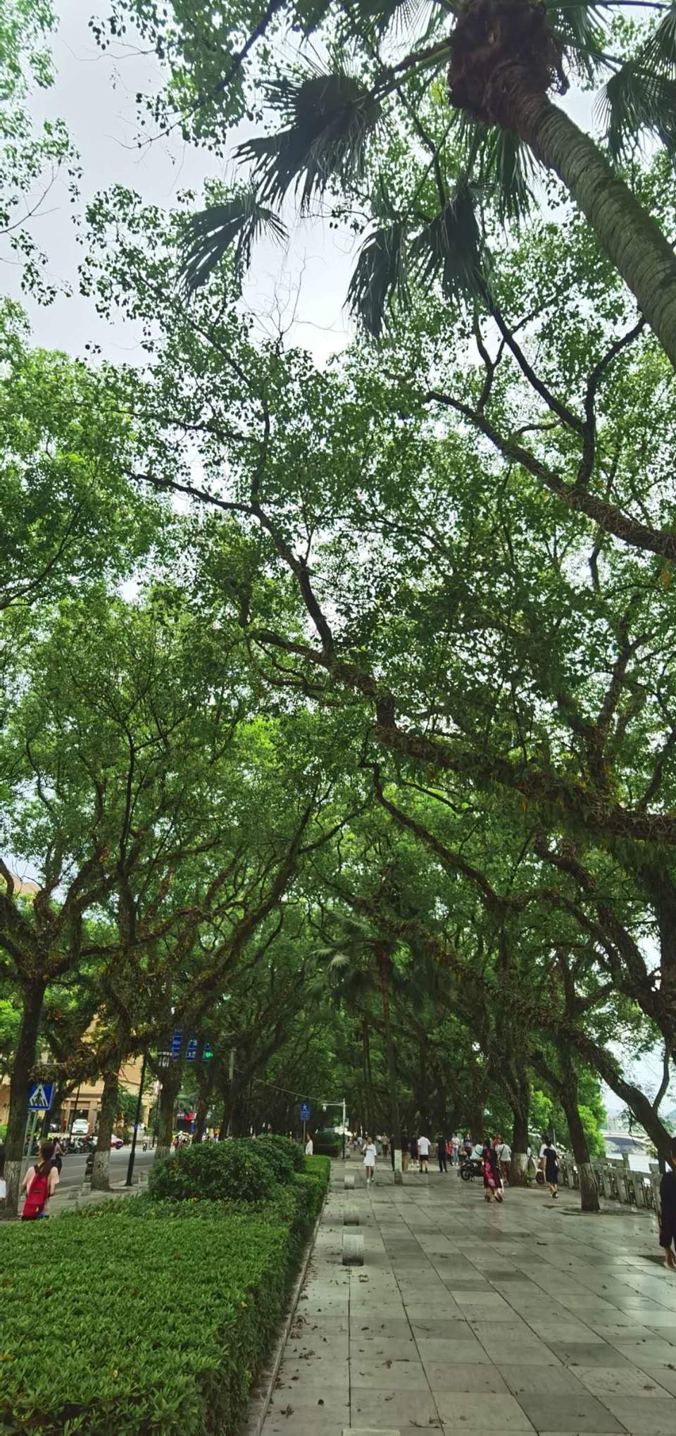 HXI9G12hOiyqOH-SQnvHhepr7p43sRv_F8uLTwKy12Bi_gOTu7ooLXgJEs19iQ9R