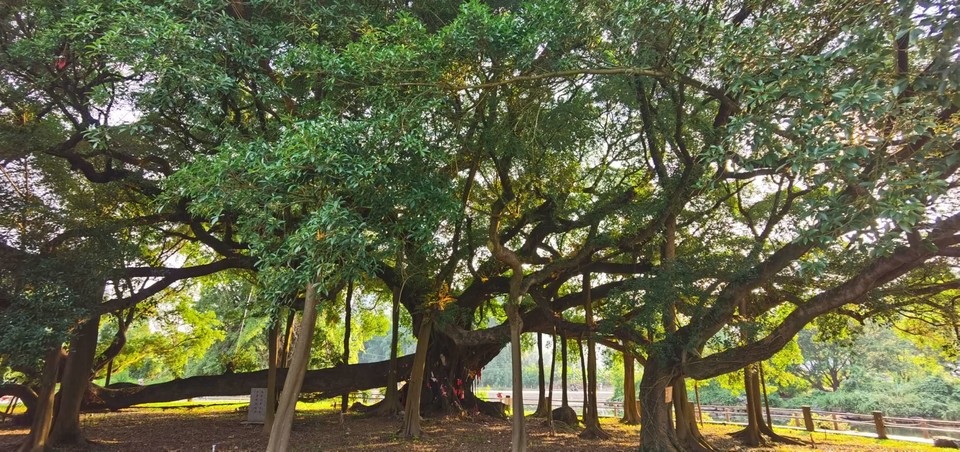 RsiC3WrRYgchuaC4l8l-yu_XVfuAxHHRGUOO1PFDrLMyPHAJoW04-Dw0idWGKin_