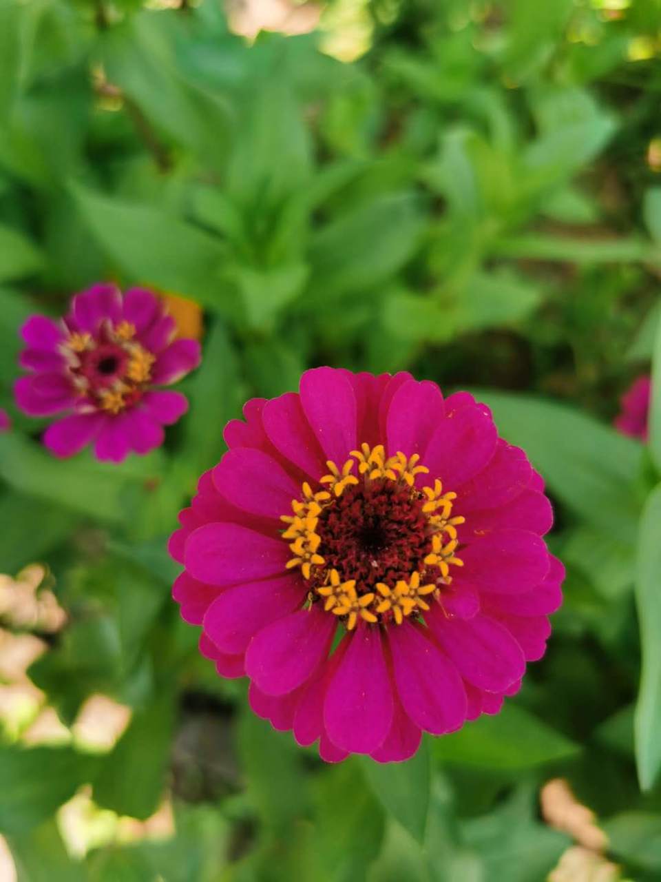 t-Idn1xBLAi0MWe2bhFKqvLg24z_e0gx3IqtNs255bggoVcjwXBHJX0FEkkwZenf