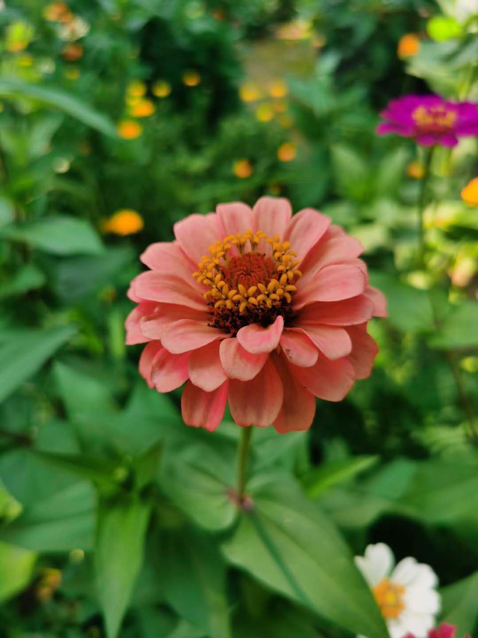 t-Idn1xBLAi0MWe2bhFKqp11dMEzYRnJltZCCx_1ro2ZgFkgJzyCumGWNX-YIOeo