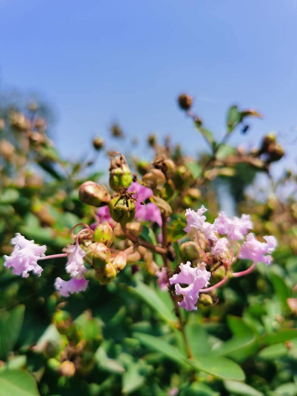 t-Idn1xBLAi0MWe2bhFKqonTLLpAX4mDa7Jh2zum78ol1RArOvKWjd6hDtBr6Chx