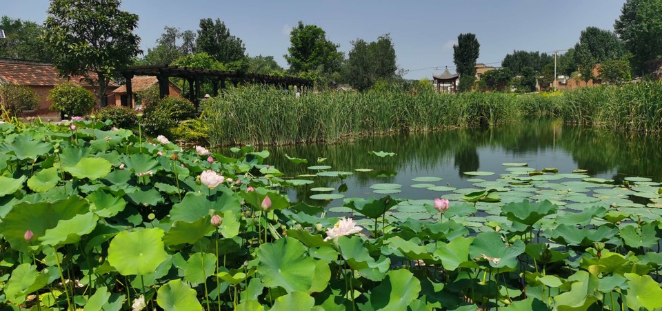 t-Idn1xBLAi0MWe2bhFKqmawnnxPKvXC_CySb4Dj9I59WspIo0JDu1G0hhBpEGGp