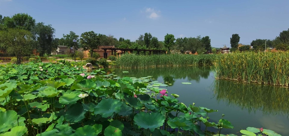 t-Idn1xBLAi0MWe2bhFKqlJtpdz0HGxl6DcKccWILMllj0dhKeFGyMNzYwcY1LlO