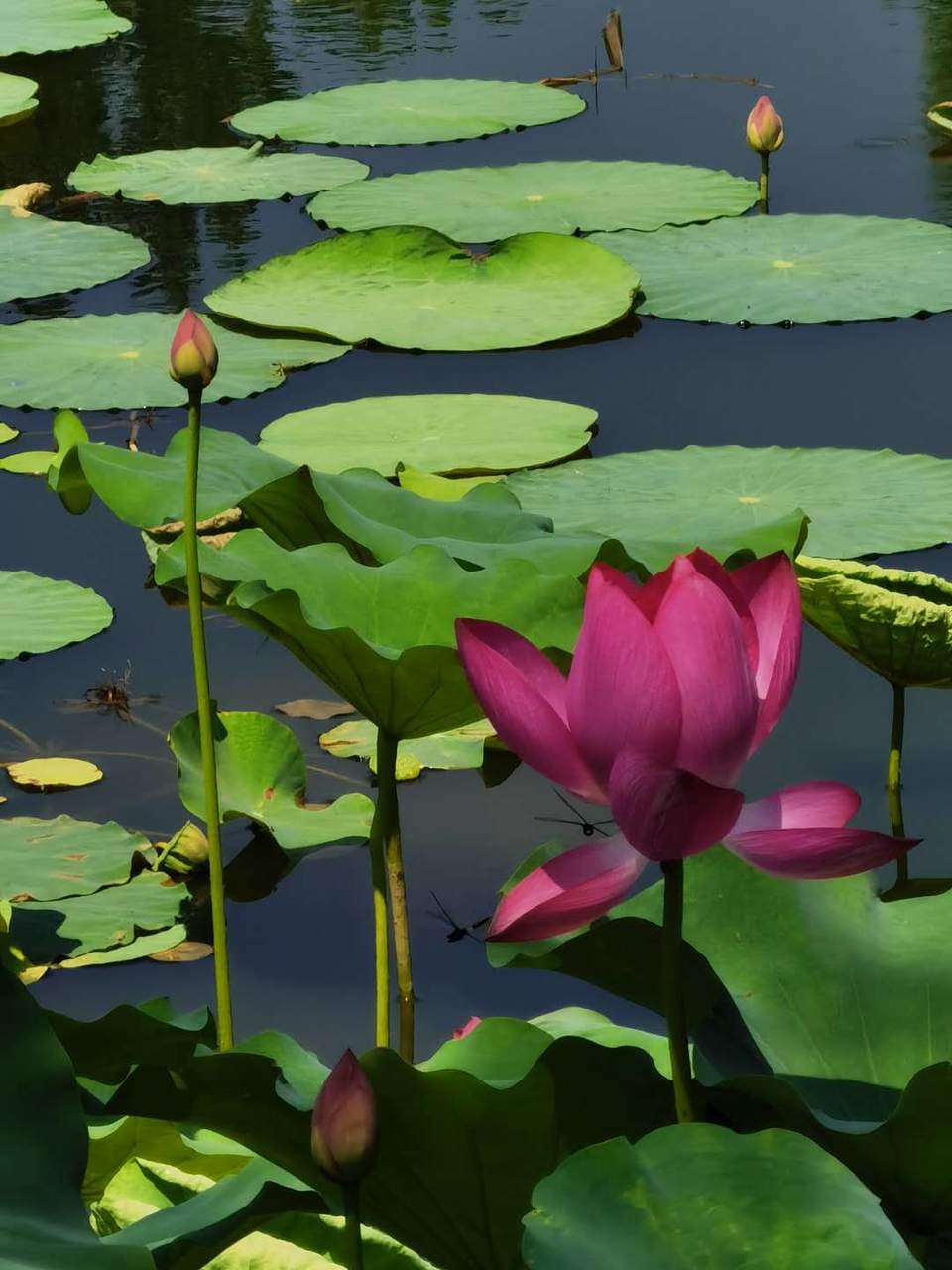 t-Idn1xBLAi0MWe2bhFKqhXYbba-jMnYV4uURSMdacav46dENOq-feedATk2V52W