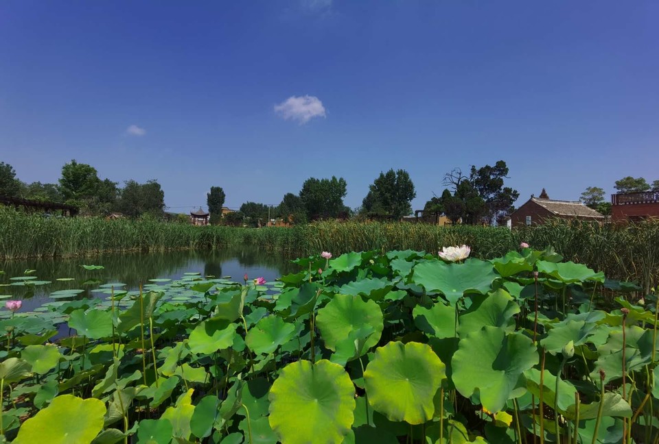 t-Idn1xBLAi0MWe2bhFKqtmZ6dn1WoYXPdB8ItZPQJprnAnHXBszLRxA0WU_eMK_