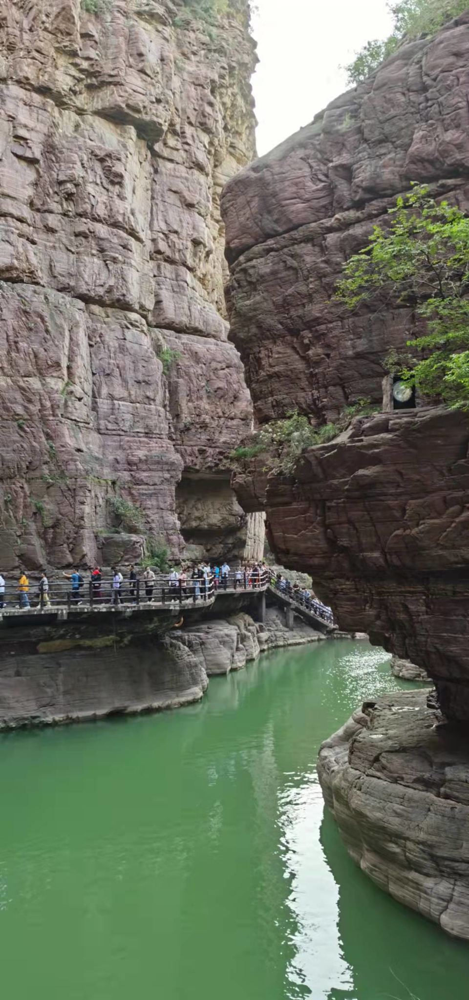 ffO7r7qgHvE-WlTE5JKqibNChTXRkq0Vyf8cIotsnk07jiezuwiD_uMcuxr2Seqh