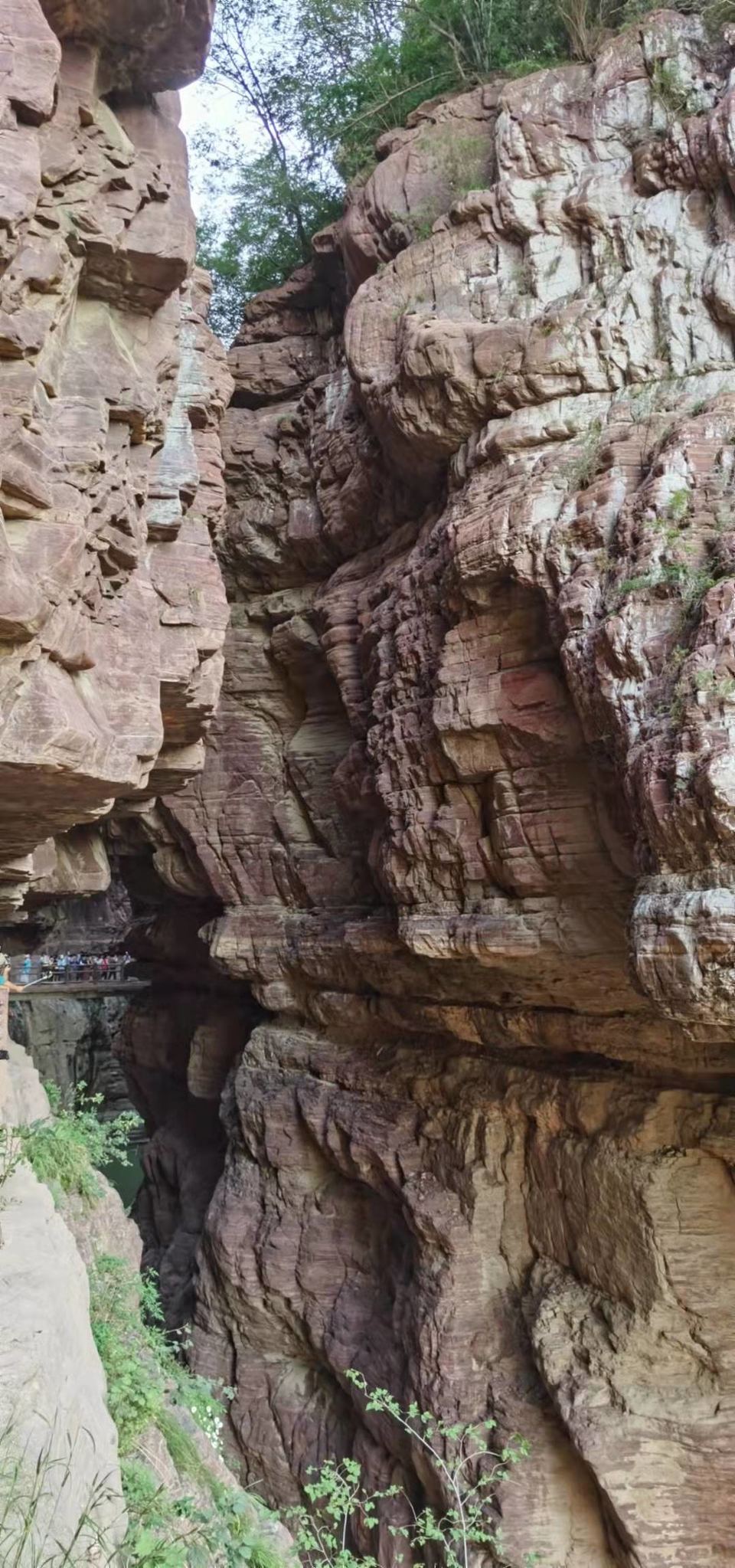 MYKJWmanQsi0_cna50y5I3LcS82NEkh5-ZwXQuRPfwjNR7a-en-WLj-RqjwyX6DN