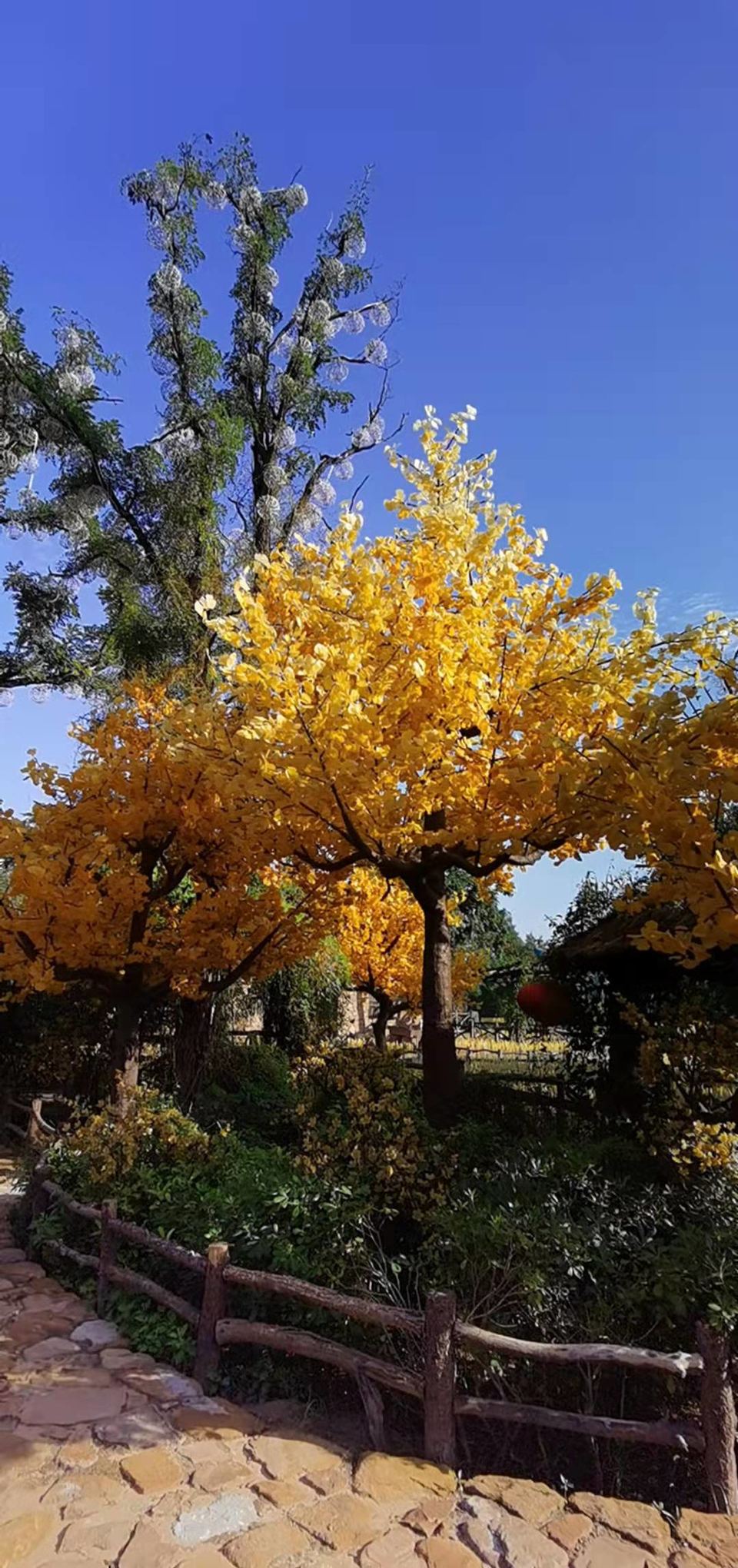 3q99IFgpb3EfChmrXd35qMA_bpa3xuSe_tNcIx1pbBBJ4TkmS9H3kkcRG_9sBaSY