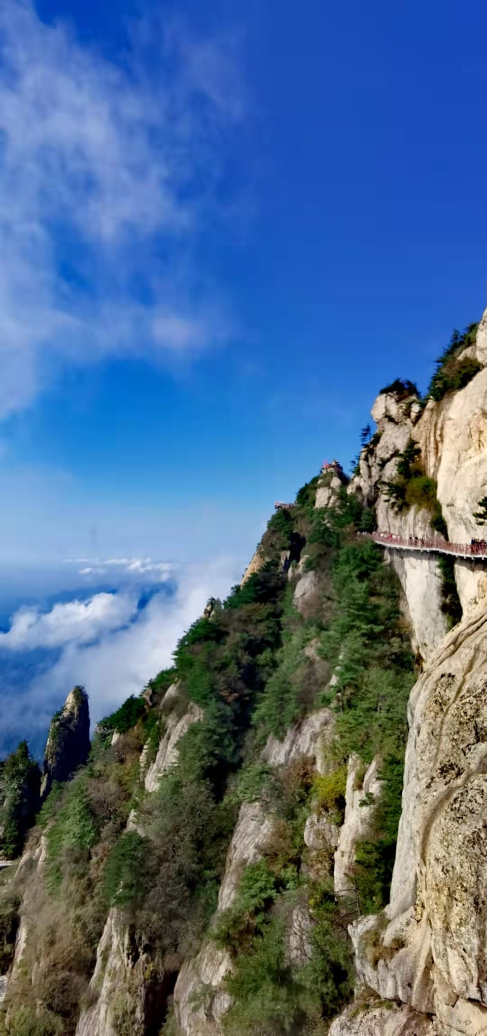 3q99IFgpb3EfChmrXd35qKaJkocdvpMKzoMUqOKDc099asZ5jZkbGkiv8f0qTdos