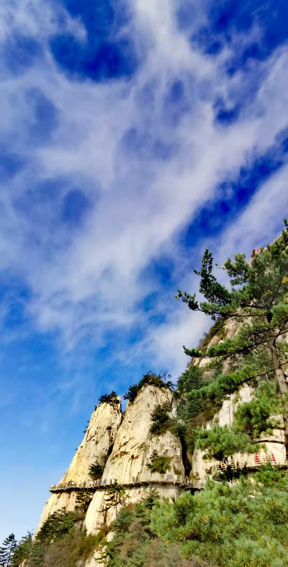 3q99IFgpb3EfChmrXd35qOSMsepGcq1TJVHpxnHohYru_MFDHLf3J2U309QIwV5v