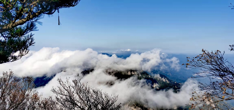 3q99IFgpb3EfChmrXd35qPlf9muR4hm47y0gYRidTP2jwG9hlizy7hljTBWzN__1