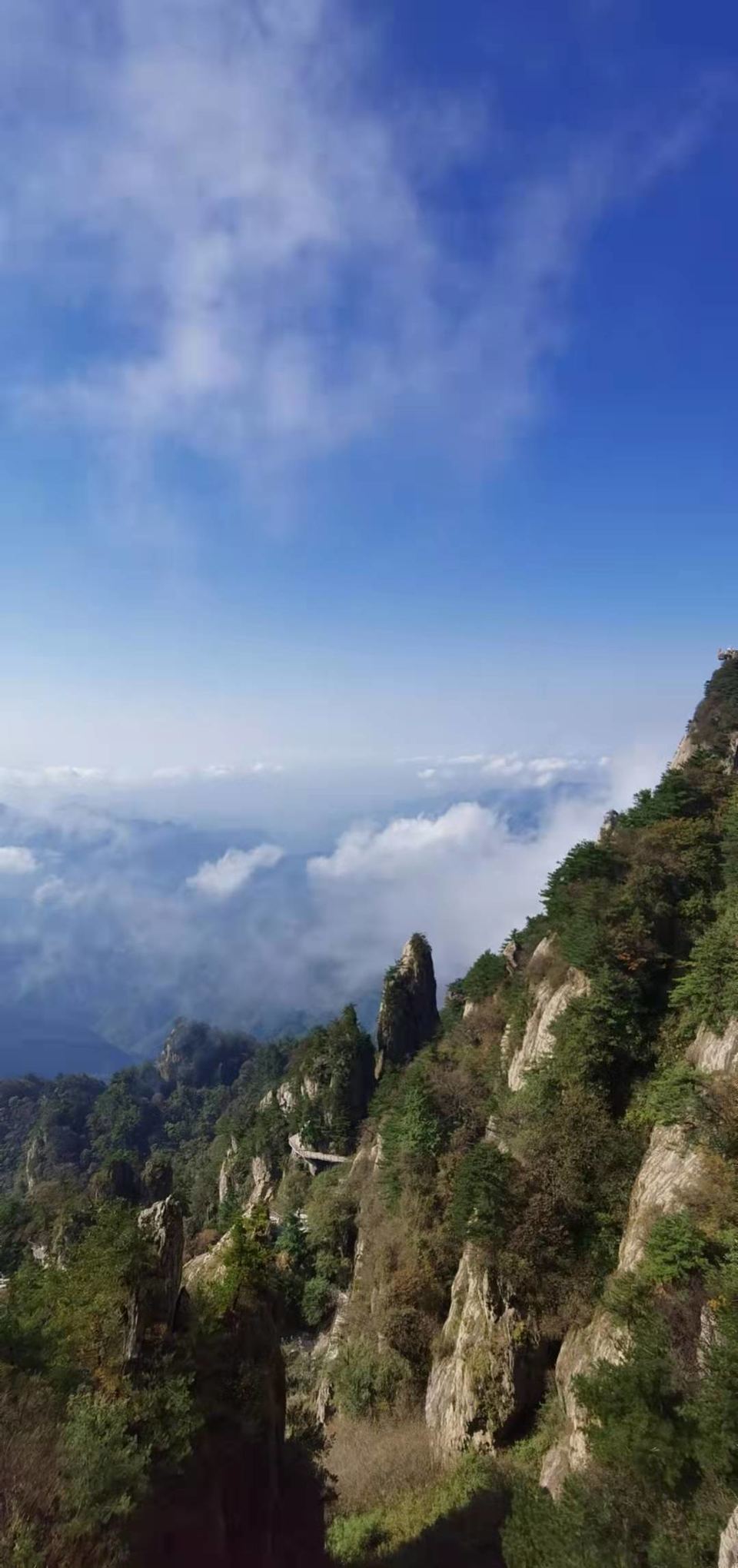 PCte1yvTfTMTw3CSFYlcqfH-RSU7J2dlV7kUbYAn1jxkR0r461nvMxKJhPiTkcT-