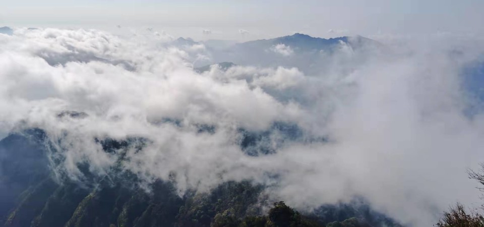 PCte1yvTfTMTw3CSFYlcqYqDFG3tMi-8KnZXqcZLWmbEVvq0t9hqR_DPFlQEsT-W