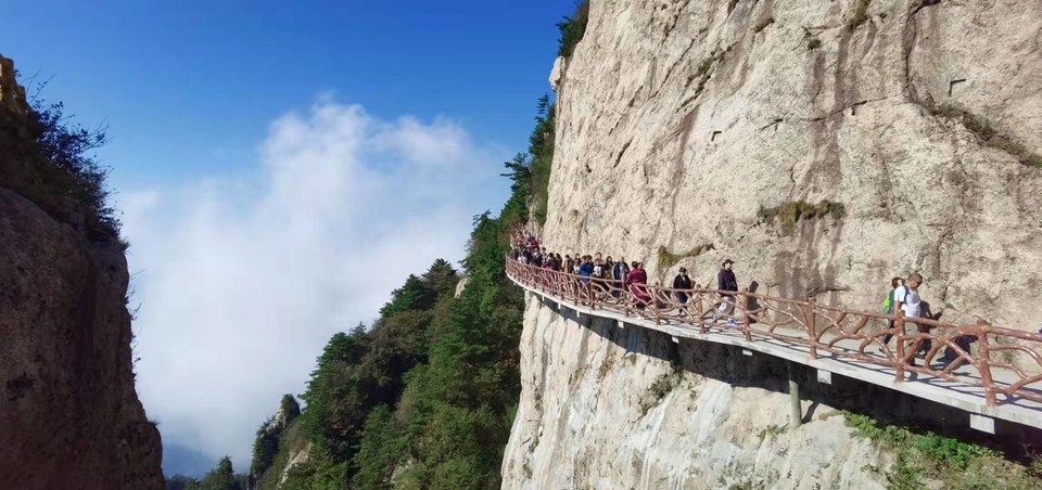 PCte1yvTfTMTw3CSFYlcqSG4VDzAqipBLmnV8GN-678JSx1Nlwtk_AgXgO9e0tcp