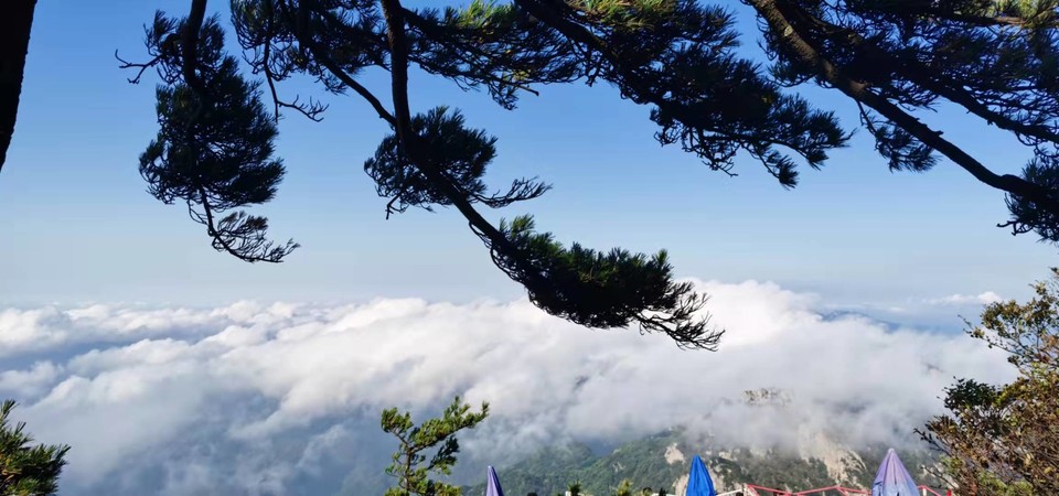 PCte1yvTfTMTw3CSFYlcqTtqd3b_2KUCqy1vbmjOy1nh2mFL3waudMVlabvPqHxD