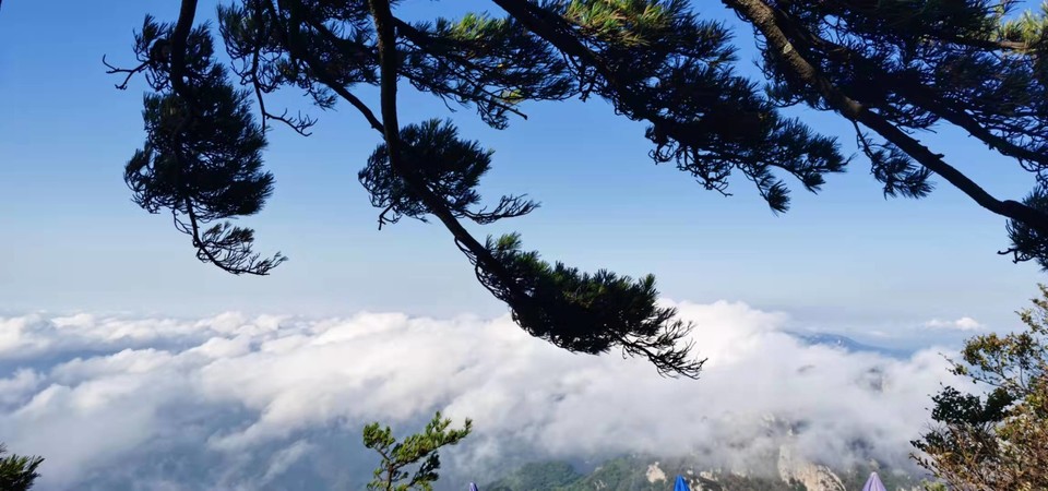 PCte1yvTfTMTw3CSFYlcqYhn5sj75HQxXuomYqbp3uX7qizvVdIPJ8MbwpWDHjZ2