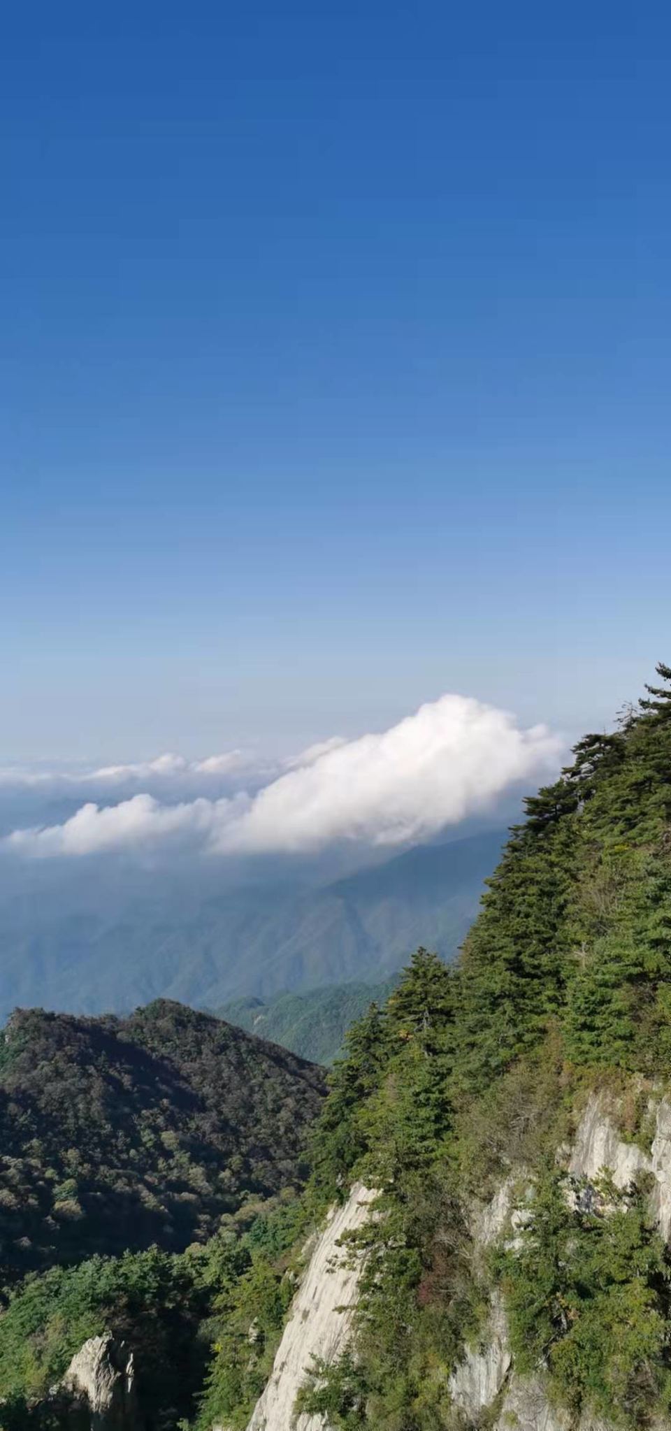 PCte1yvTfTMTw3CSFYlcqQP661UDZQ0owZTirZcJw67thmvLiepCnPJFYrQ9jef3