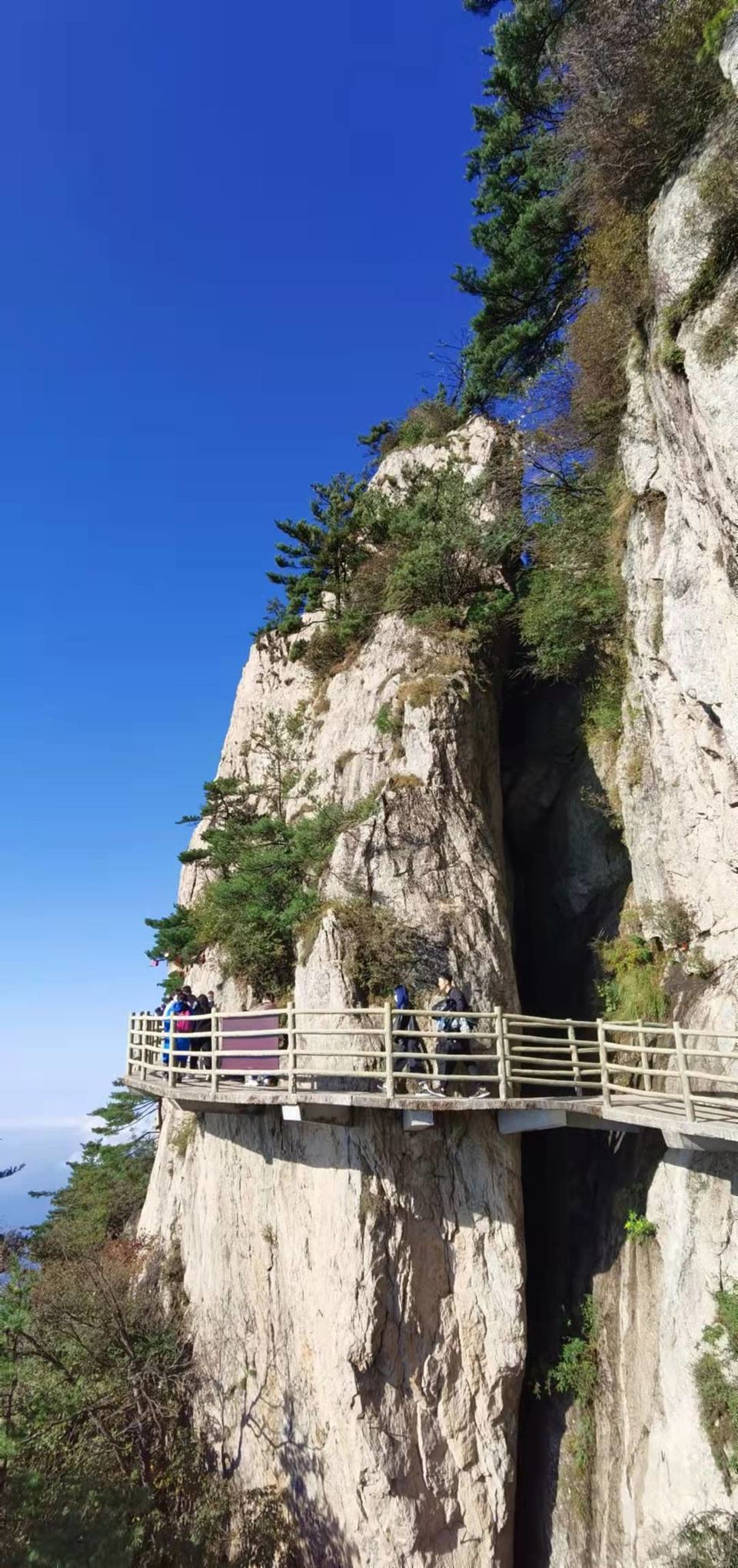 PCte1yvTfTMTw3CSFYlcqT_Fg2LKx71UXi6XV9dkkVaCe_CwD8nC9p-RE3lRGT3D