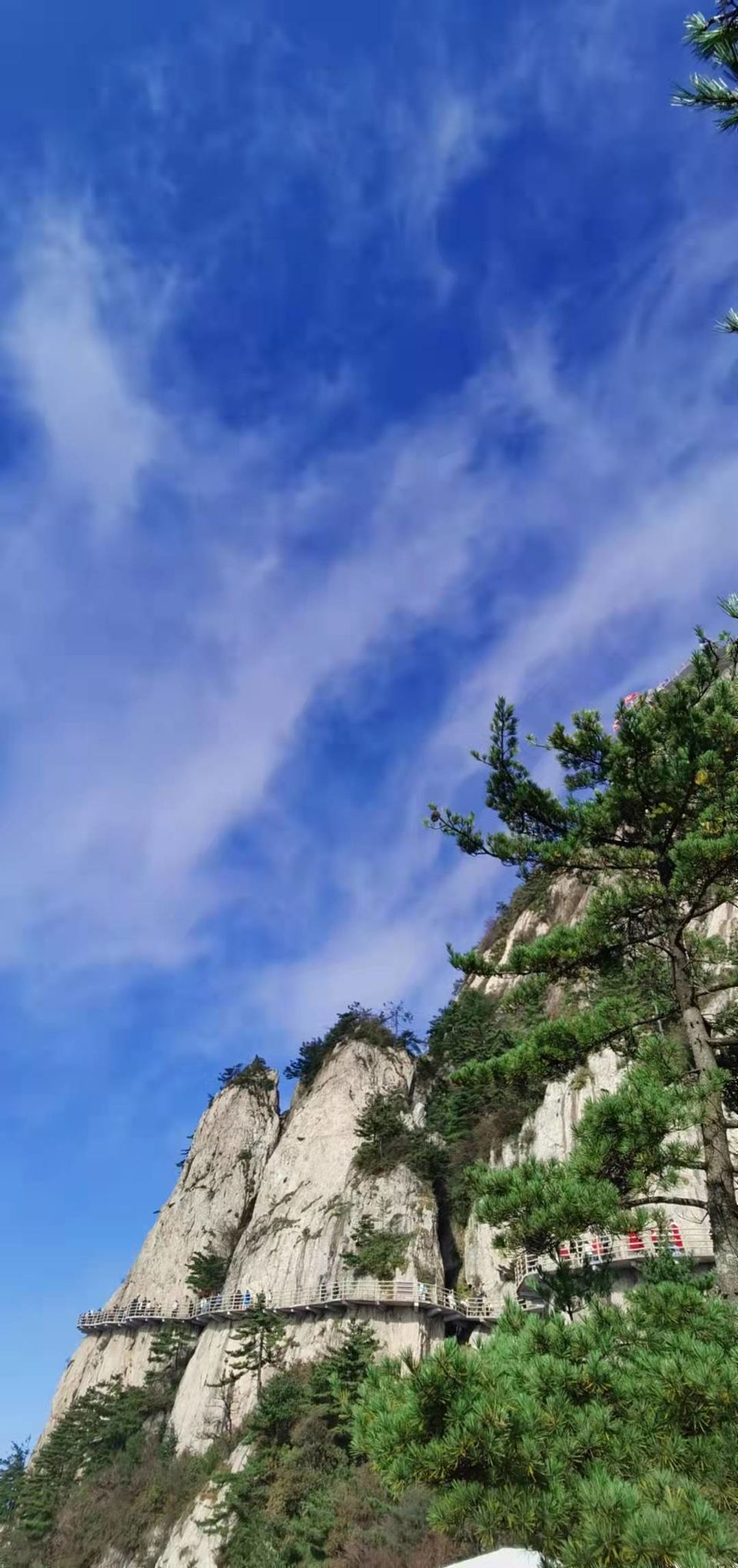 PCte1yvTfTMTw3CSFYlcqSm9_xSs71mzEXJSz9LJ25Pvmtx8dpClOZ0BAdob8_4P