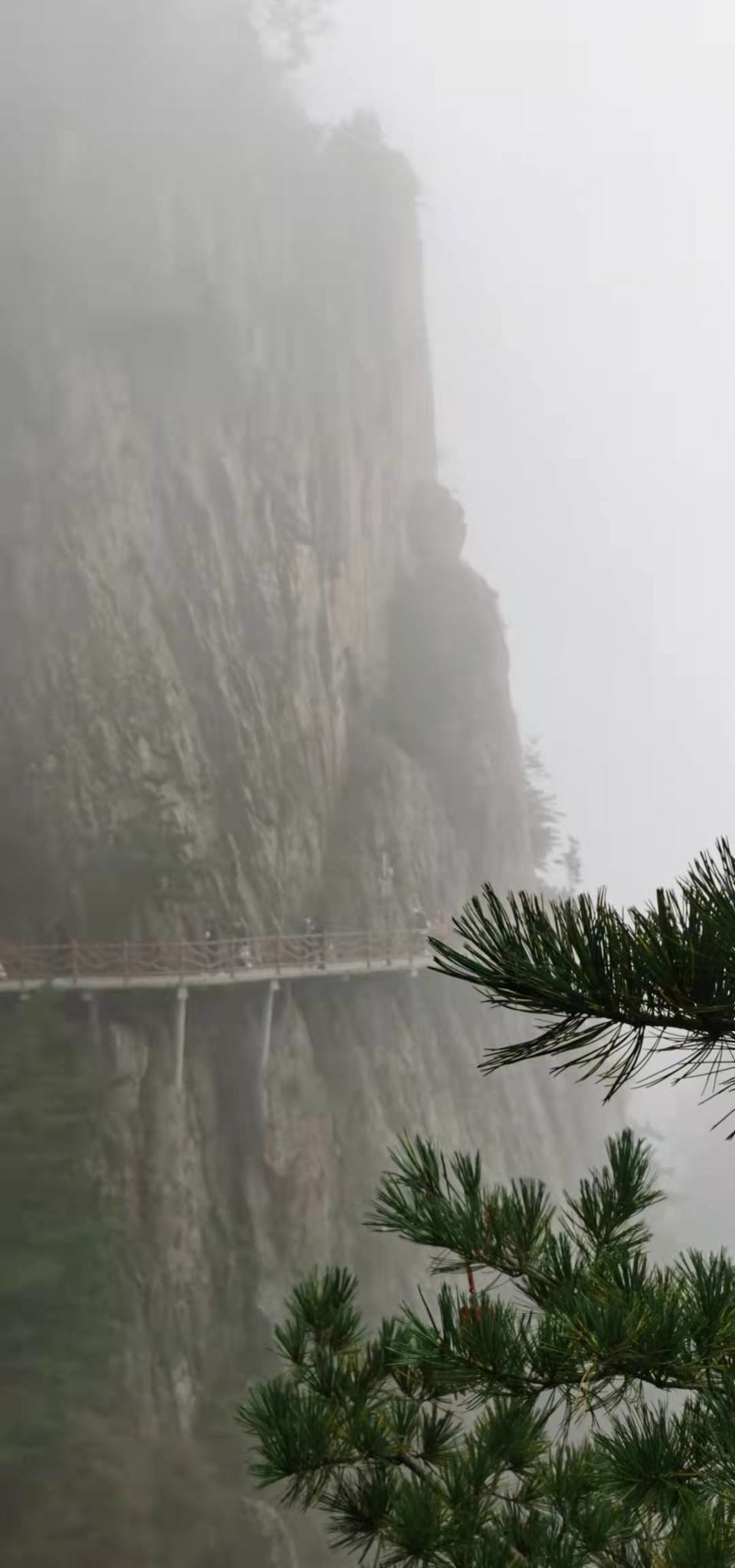 PCte1yvTfTMTw3CSFYlcqeFgtyOBF_azPrprAg6dNq6jxF6fkPbh1Ra6lzcn8ijY