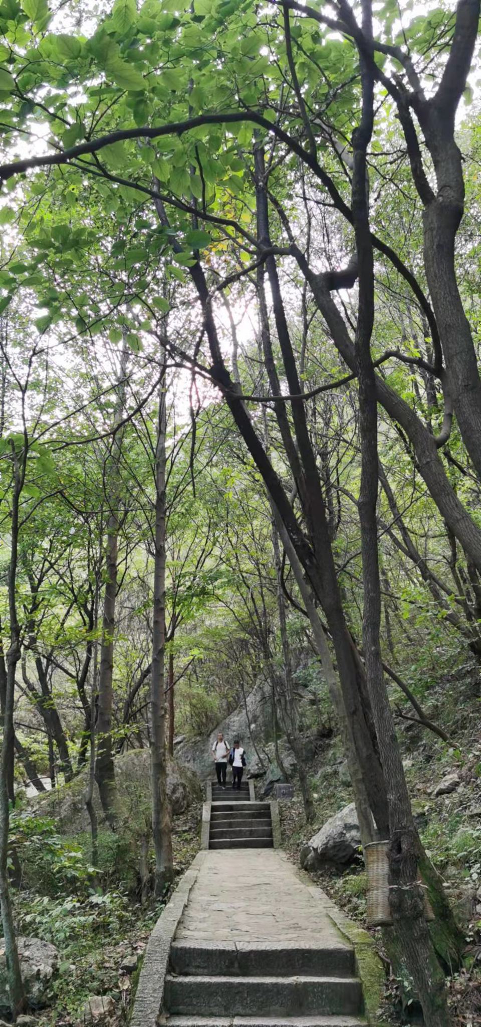 PCte1yvTfTMTw3CSFYlcqQwH6umprb0BL-vAPKeler8_jMKtmp27X_sVuqMInU-e