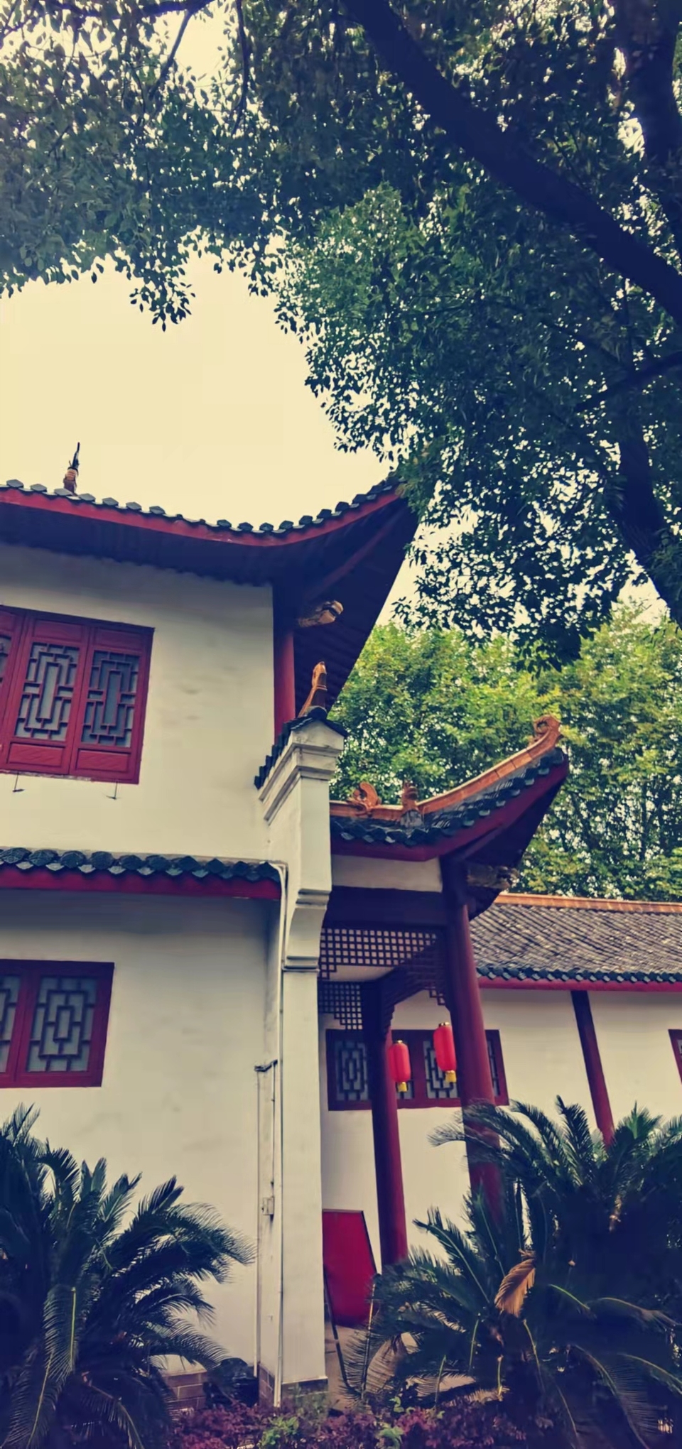 zckSIVnaEJtshyZPlLaRdBDNmOig3jbrN7-ihq53lcKvde1e7LRnksvIxivRcxDz