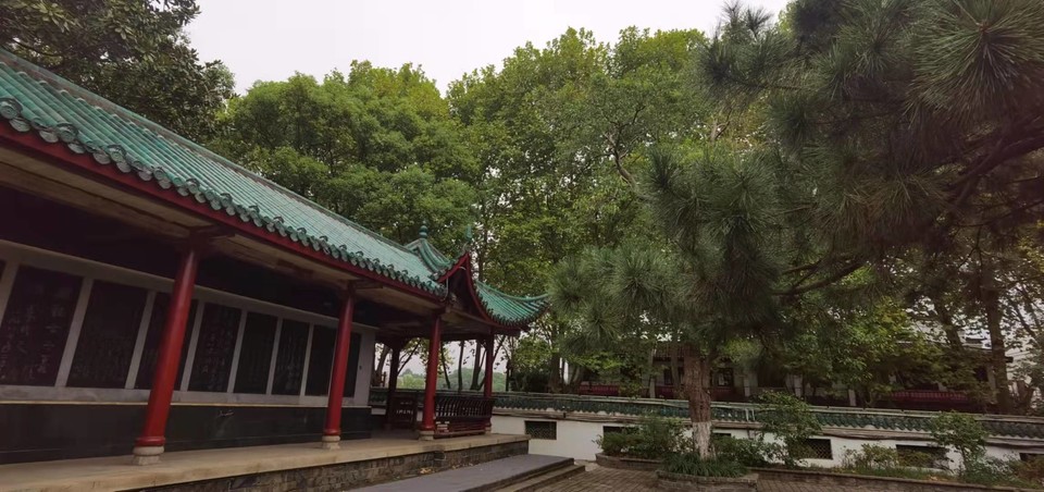 zckSIVnaEJtshyZPlLaRdIoZP52L1ywlcnc1uG50imNDhhEVadJ429GzPvMngUI8