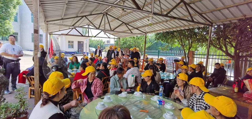 y9otaH68s22nae8pQABB61ECL2Lfhx4wJCUW-l2tsKWl6X5fFDz7SoxShLkdWbRV